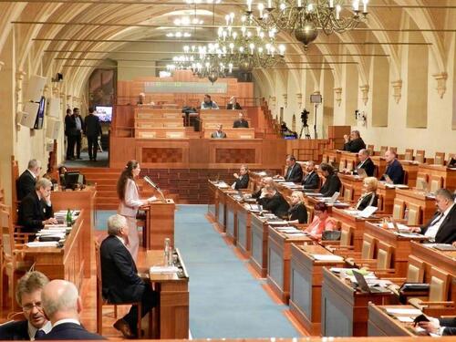 Veronika Sunova, die Vorsitzende des tschechischen Falun-Dafa-Vereins, spricht bei der Anhörung im Senat.