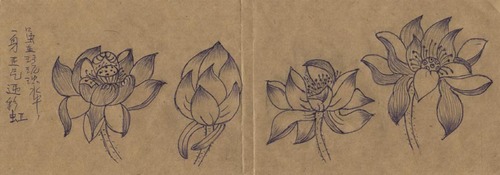 Lotusblume mit Kugelschreiber von einem Falun-Dafa-Praktizierenden im Arbeitslager gemalt. © Minghui.de