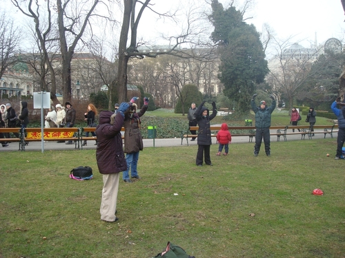 Stadtpark in Wien: Die Falun Gong Übungsgruppe ist hier ein vertrauter Anblick.